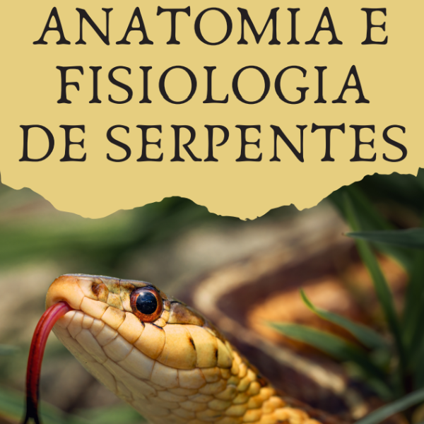 Anatomia e Fisiologia de Serpentes
