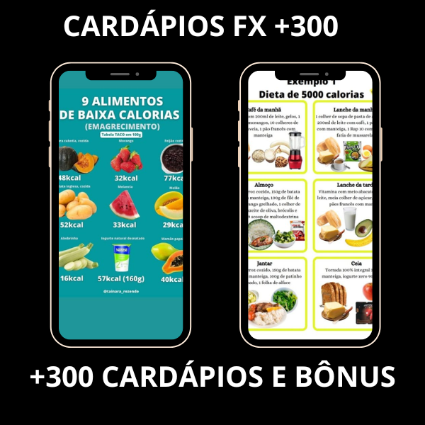 CARDÁPIOS FX +300