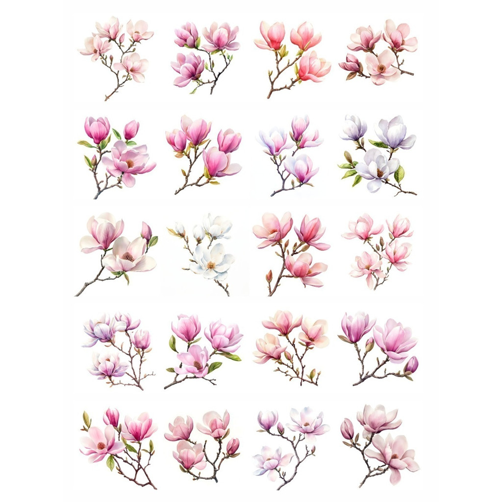 Decalque Hidro Transfer folha A4 - Flores Magnólias 5cm