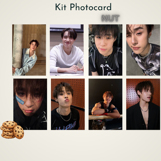 KIt Photocard Fanmade Lynk Nut