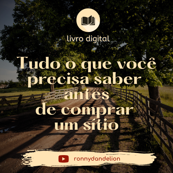 Tudo o que Você Precisa Saber Antes de Comprar um Sítio