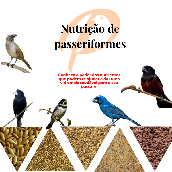 Nutrição de passeriformes