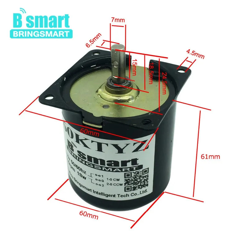 Bringsmart 110V 220V Synchronous AC Gear Motor Mini Electric Motor Reducer Low Speed Metal Gear Motor for Barbecue Whole