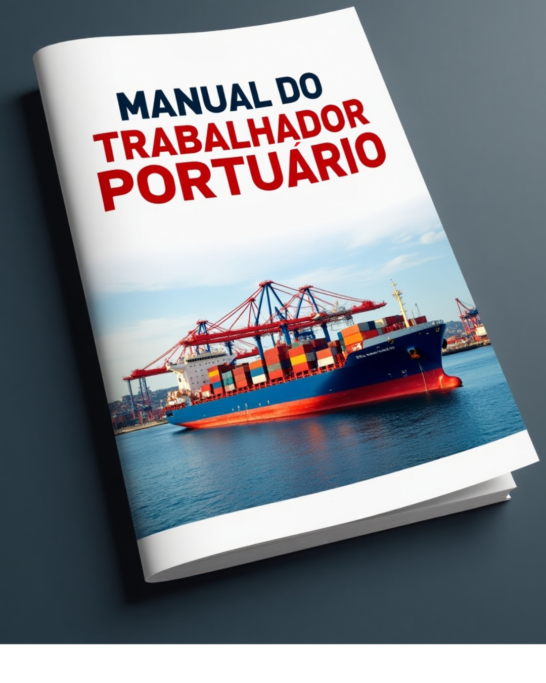 Manual do Trabalhador Portuário: Containers, Vistorias e Operações Diárias.