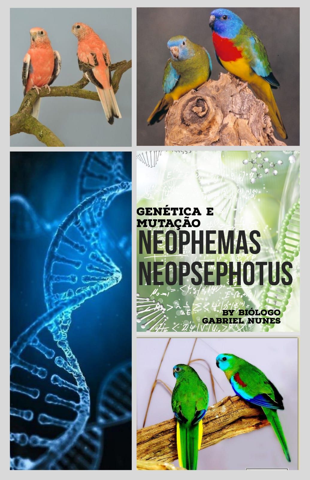 Genética e Mutação de Neophemas E Neopsephotus
