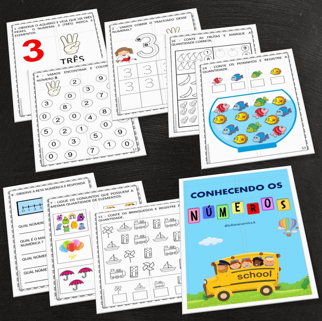 CONHECENDO OS NÚMEROS