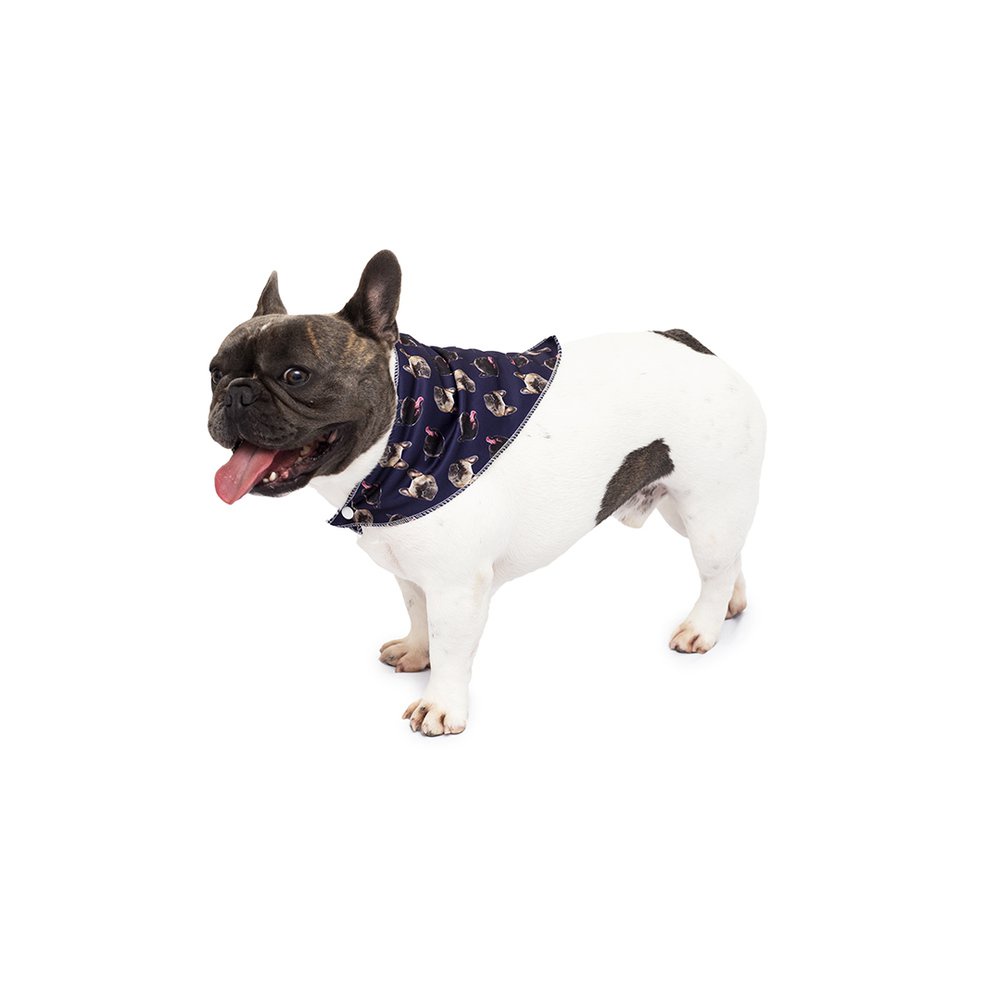 Bandana Pet Personalizada - Customize com Suas Fotos - Lenço para Cães e Gatos Customizável - Azul Marinho