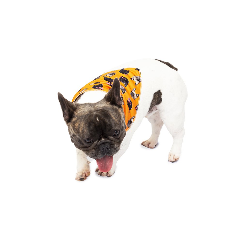 Bandana Pet Personalizada - Customize com Suas Fotos - Lenço para Cães e Gatos Customizável - Laranja