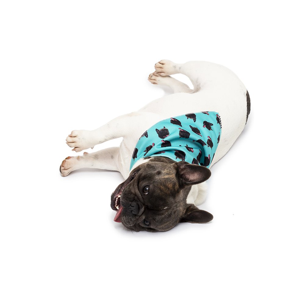 Bandana Pet Personalizada - Customize com Suas Fotos - Lenço para Cães e Gatos Customizável - Turquesa