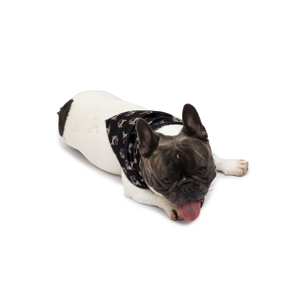 Bandana Pet Personalizada - Customize com Suas Fotos - Lenço para Cães e Gatos Customizável - Preto