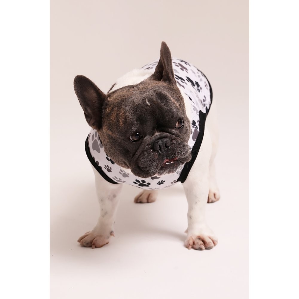 Roupa para Pet Personalizada com Fotos - Customize com Suas Fotos - Roupinha para Cães e Gatos - Preto e Branco
