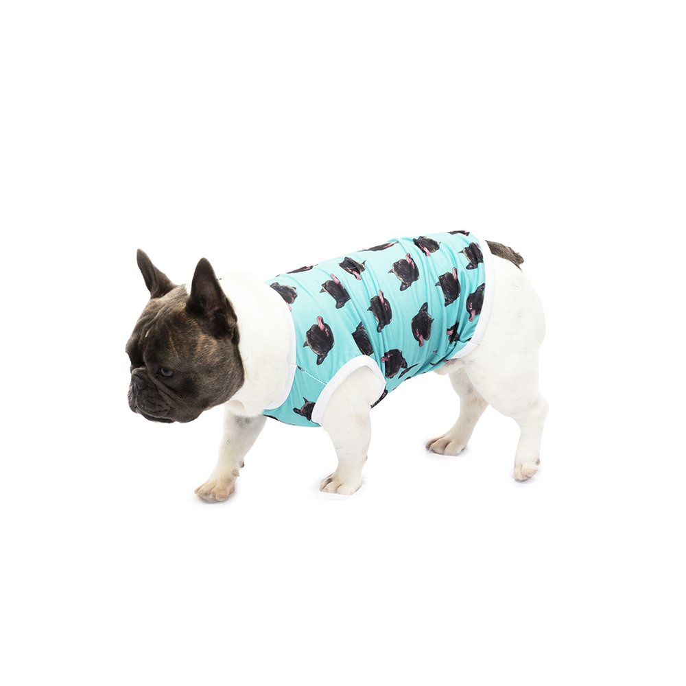 Roupa para Pet Personalizada com Fotos - Customize com Suas Fotos - Roupinha para Cães e Gatos - Turquesa