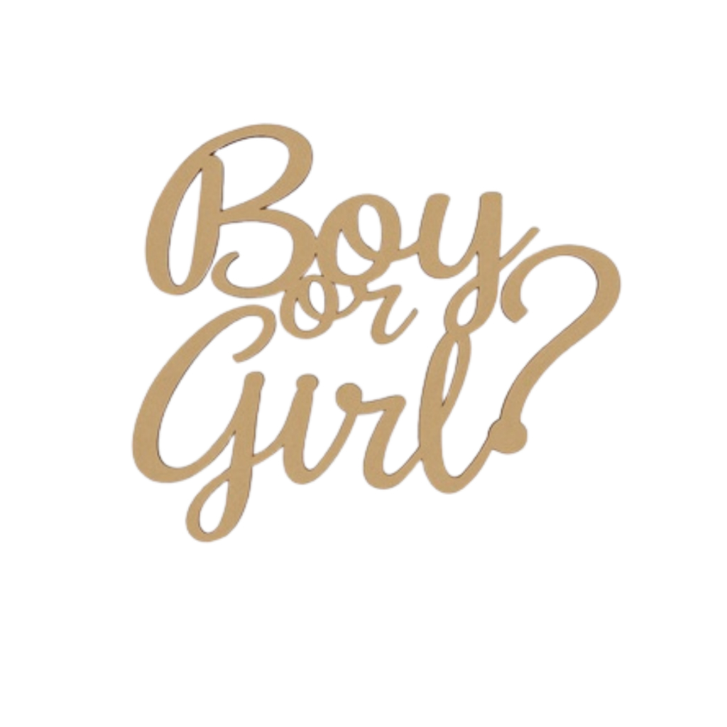 Letreiro Decoração Boy or Girl Chá Revelação Mdf Cru Lettering Baby