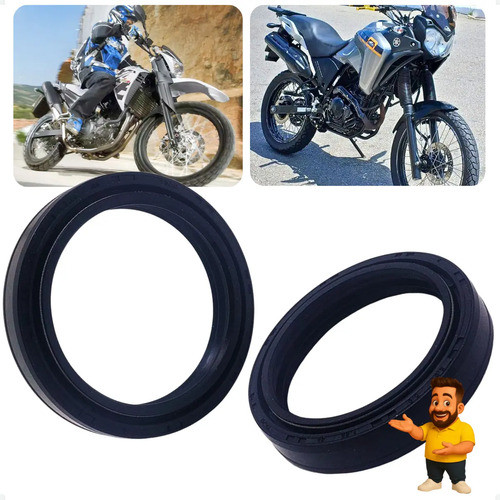 Kit 2 Retentor Bengala Xt 660 2006-2017 / Tenere 250 1991 1992 1993 1994 1995 1996 1997 1998 - Embus