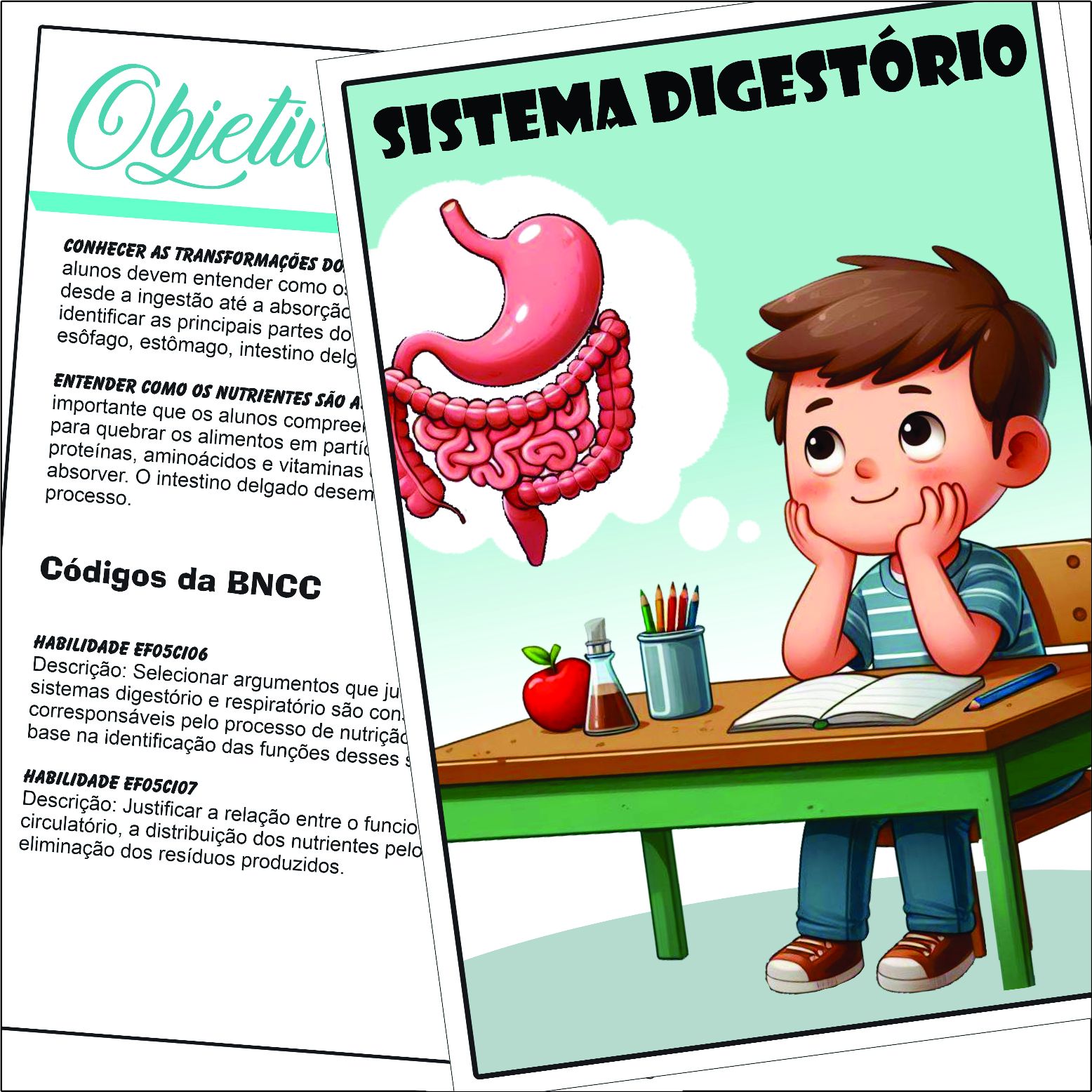 PACOTE DE ATIVIDADES SOBRE O SISTEMA DIGESTÓRIO