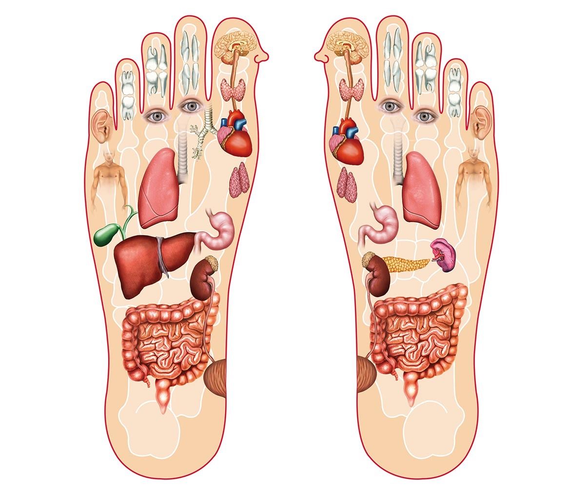 Curso completo de Reflexologia Podal