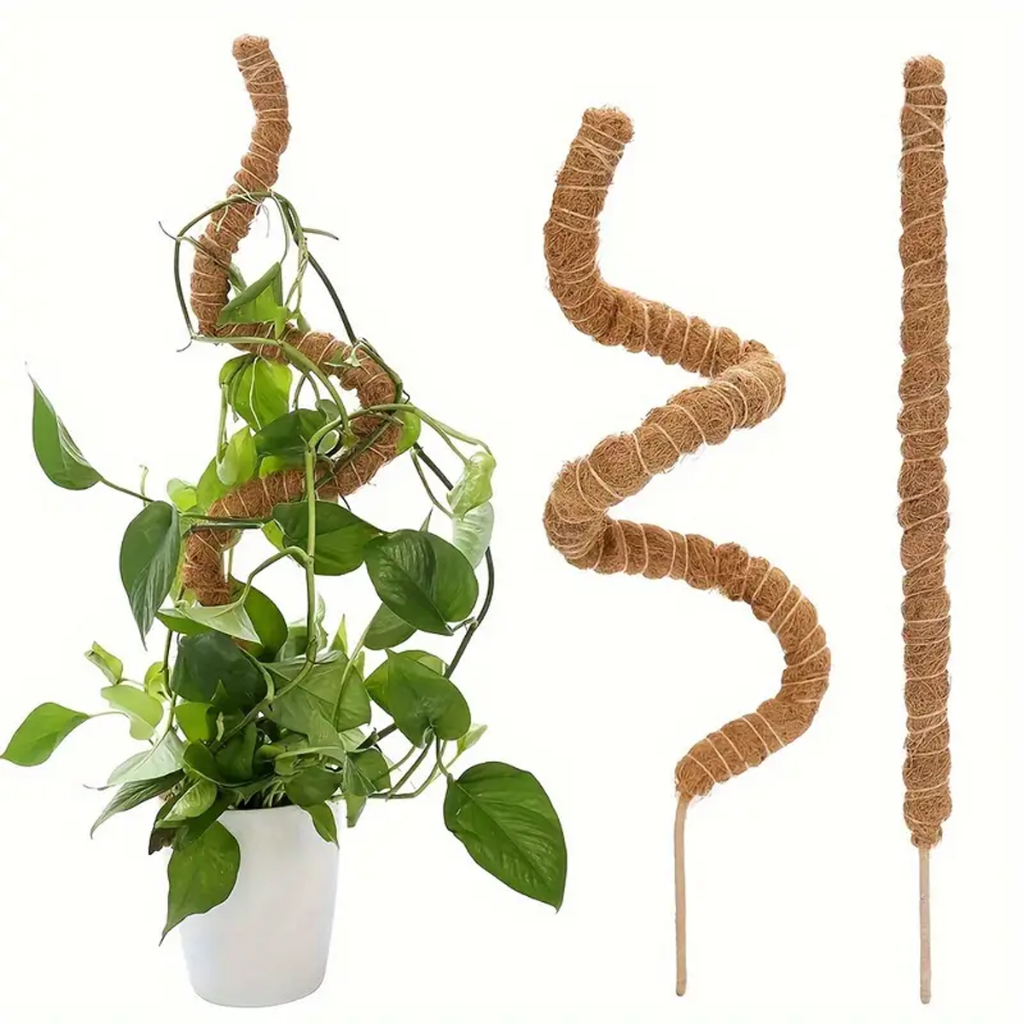 Tutor Plantas Trepadeiras Fibra Coco 60cm 80cm 100cm 120cm 150cm Estaca Suporte Natural Jardim