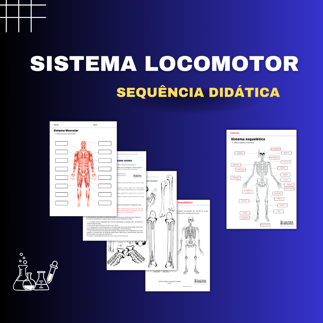 Sequência Didática - Sistema Locomotor