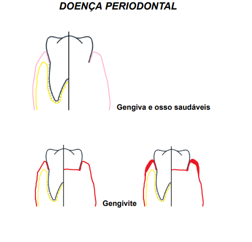 Manual de apresentação para dentista