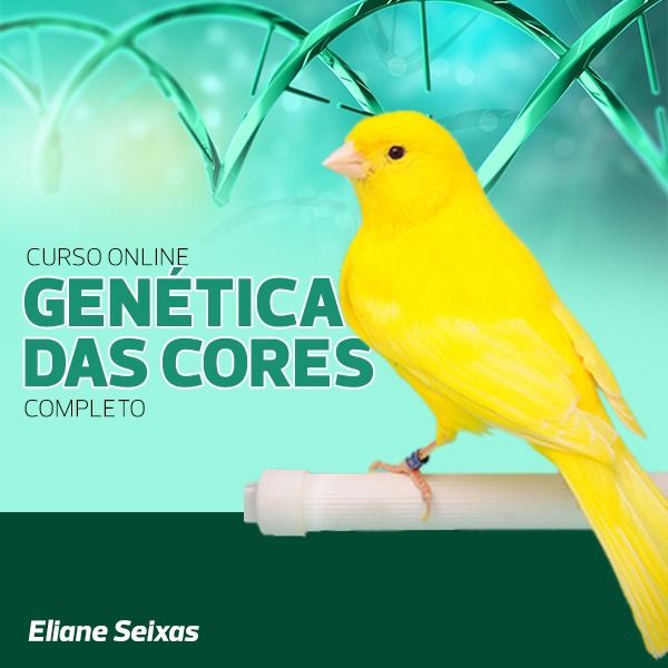 Curso de Genética das Cores dos Canários - On-Line