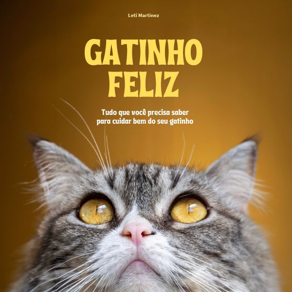 Gatinho Feliz: Tudo que você precisa saber para cuidar bem do seu gatinho