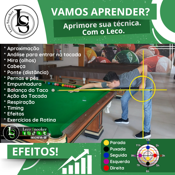 Técnicas para Jogar Sinuca.