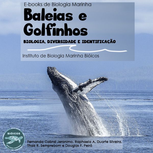 Baleias e Golfinhos: E-book Biologia, Diversidade e Identificação