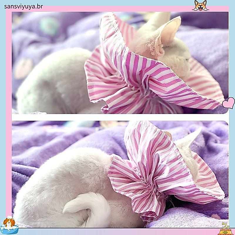 Gatinho Elizabeth Anel Proteção de Segurança Desgaste Longo Pet Friendly Design Leve Uso Diário