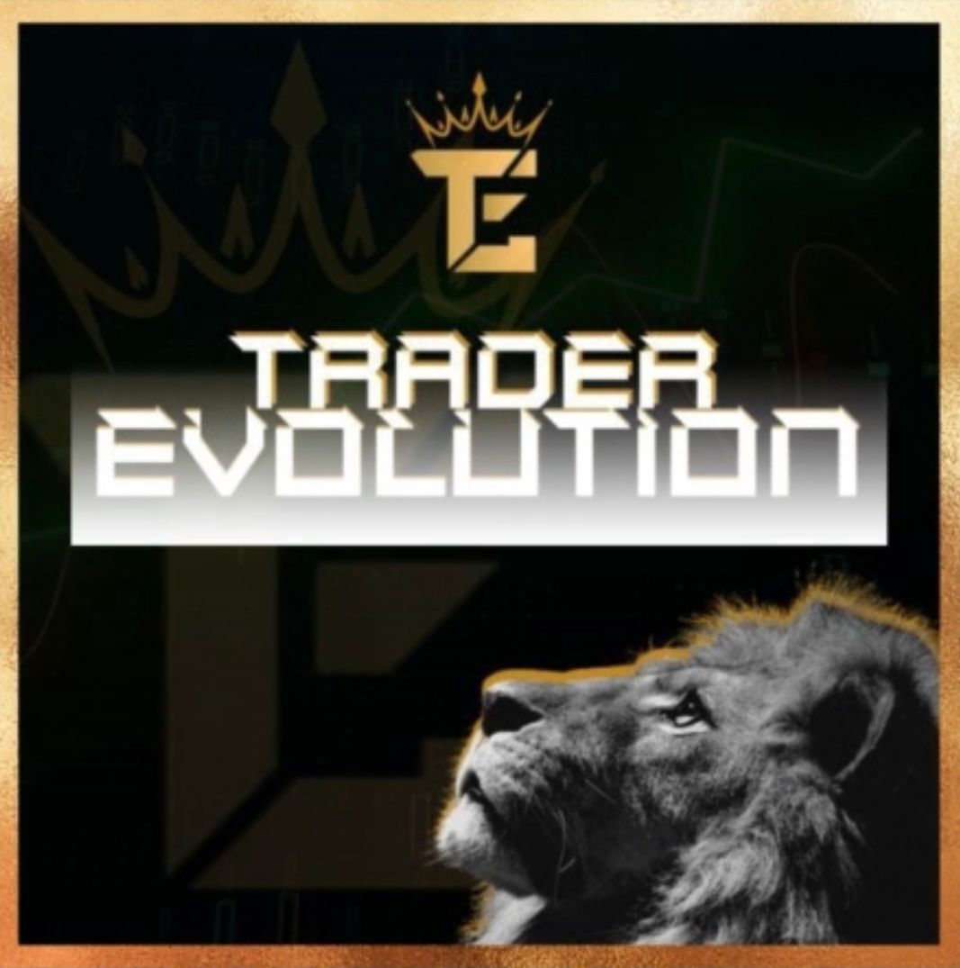 MENTORIA TRADER EVOLUTION 2.0