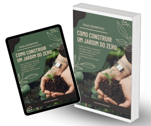 Guia Definitivo: Como Começar um Jardim do Zero