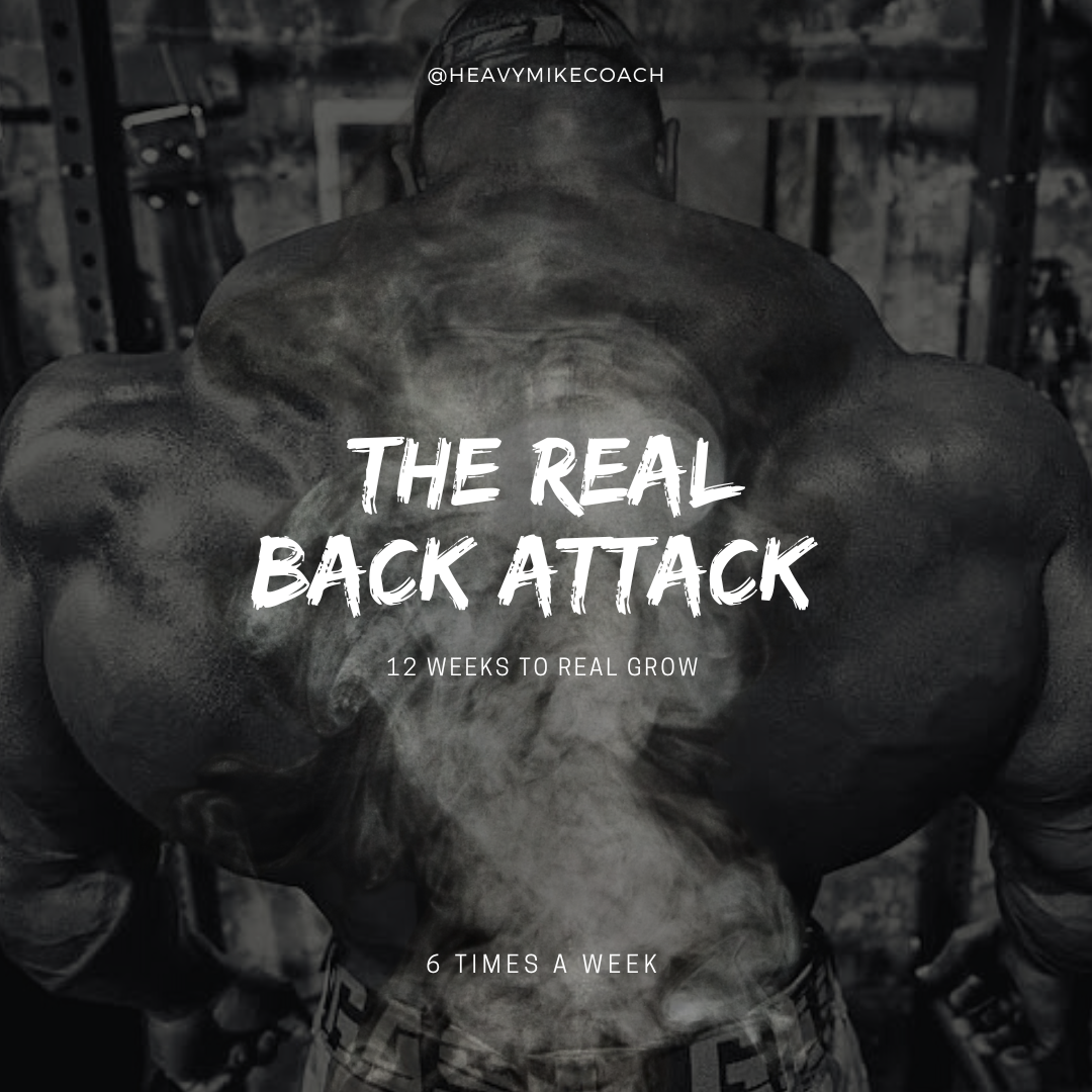 THE REAL BACK ATTACK - 12 Semanas