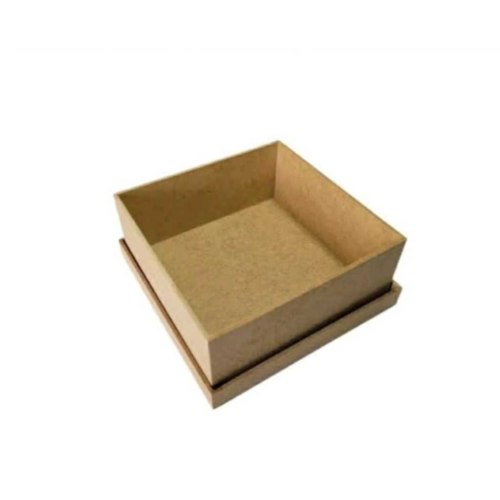 Kit 2 Caixas Tampa De Sapato Presente 16x16x8 Artesanatos
