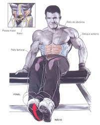 treino abdomen do iniciante ao avançado