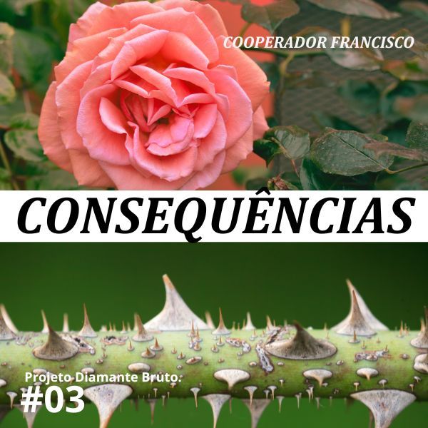 #03 - Consequências