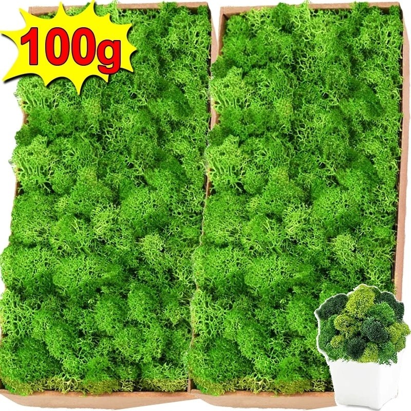 30/50g Musgo Artificial Verde-Planta De Simulação-Bonsái De Mesa-Presentes De Artesanato De Grama Para Flores-Micro Landscape Decor-Mini Potted DIY-Jardim De Festas De Casamento