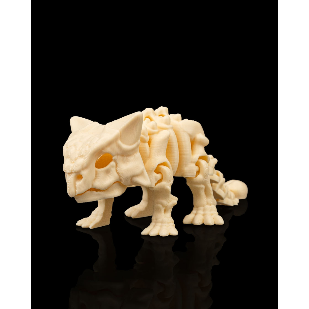 Dinossauro Esqueleto Articulado |Brinquedo Articulações Móveis Presente Criativo
