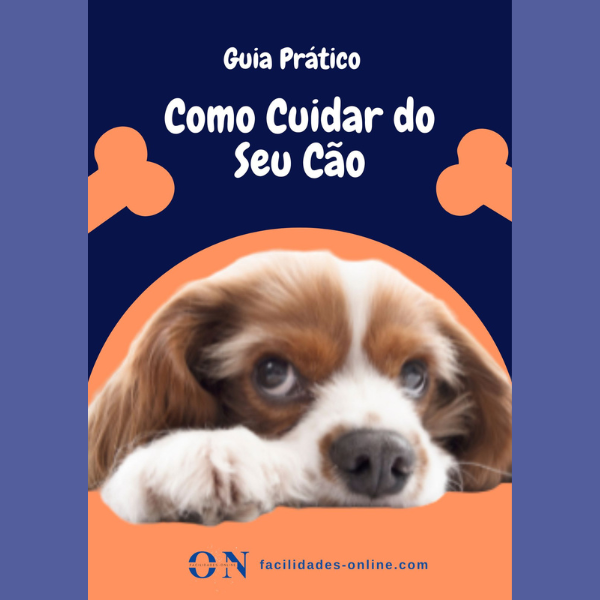 Como Cuidar do Seu Cão