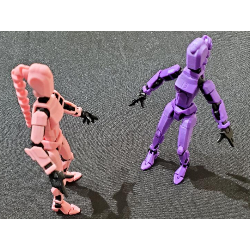 Boneco Dummy 13 Corpo Feminino Articulado Brinquedo Decoração Varias Cores Entregue Montado - Impressão 3D