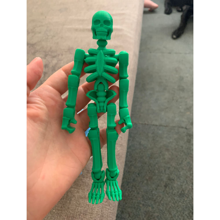 Boneco Dummy 13 Esqueleto Articulado Detalhista Brinquedo Decoração Varias Cores Entregue Montado - Impressão 3D