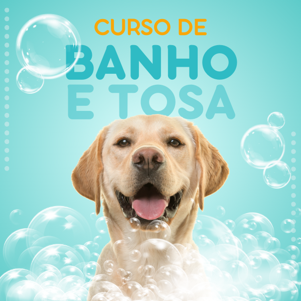 Curso Básico de Banho e Tosa
