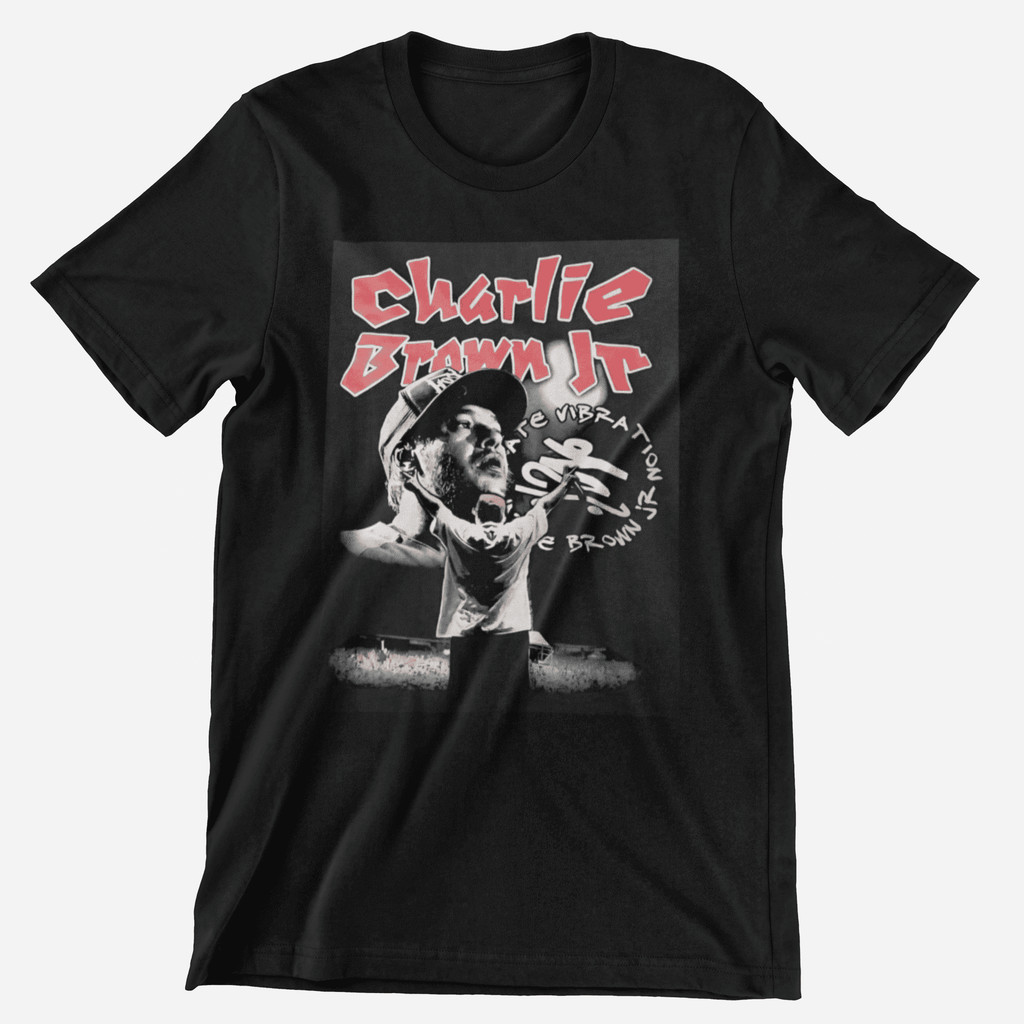 Camiseta CBRJ Skate Vibration Rock Unissex 100% Algodão Top Premium Lançamento Envio Rápido Varias Cores!! Charlie Brown