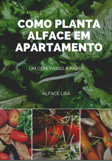 Como Plantar Alface em apartamentos