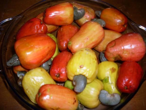 receitas com caju na cozinha