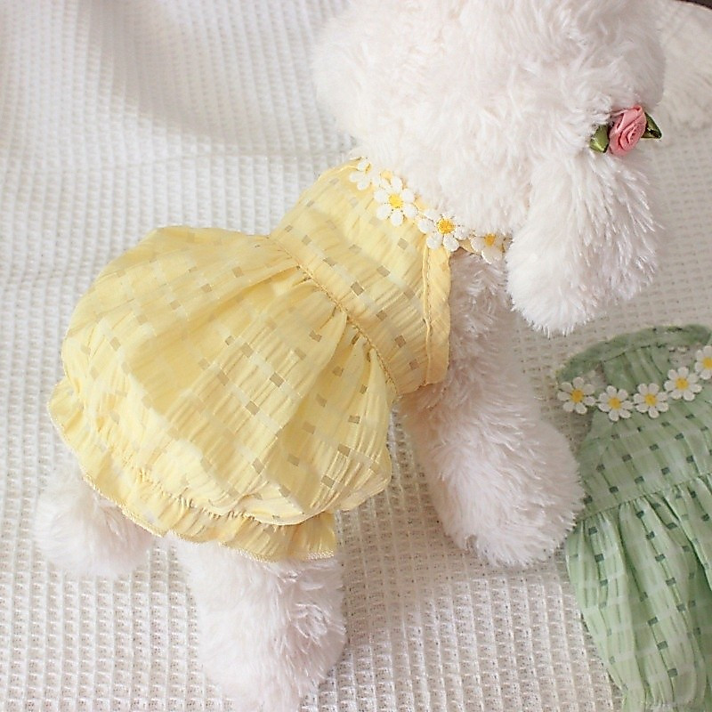 Ins Summer Fresh Pet Skirt Cat Teddy Beagle Thin Breathable Spring and Summer Pet Clothes*&--&-&*