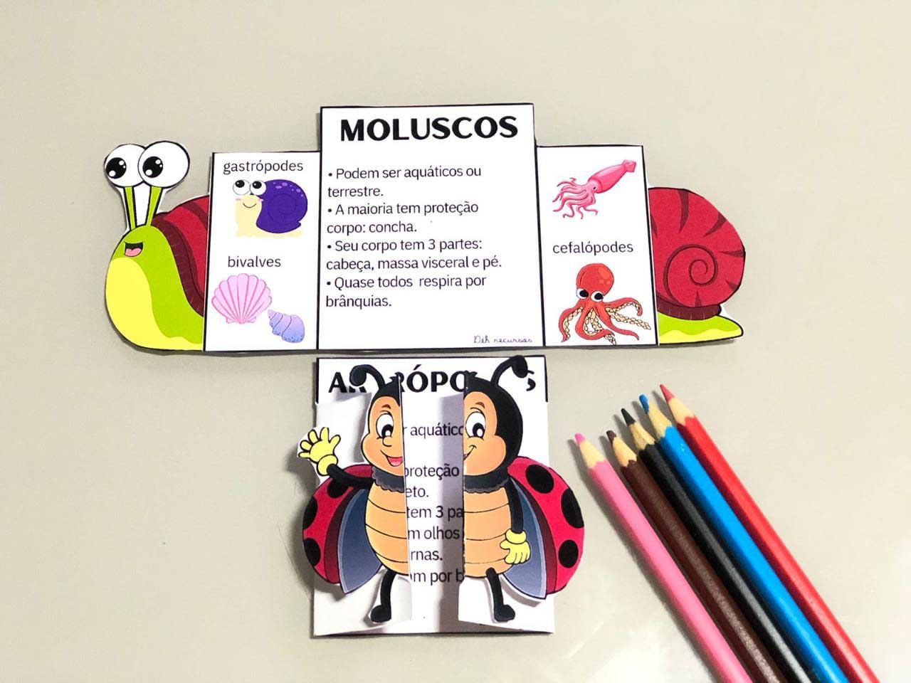 FICHA INTERATIVA DOS ANIMAIS INVERTEBRADOS