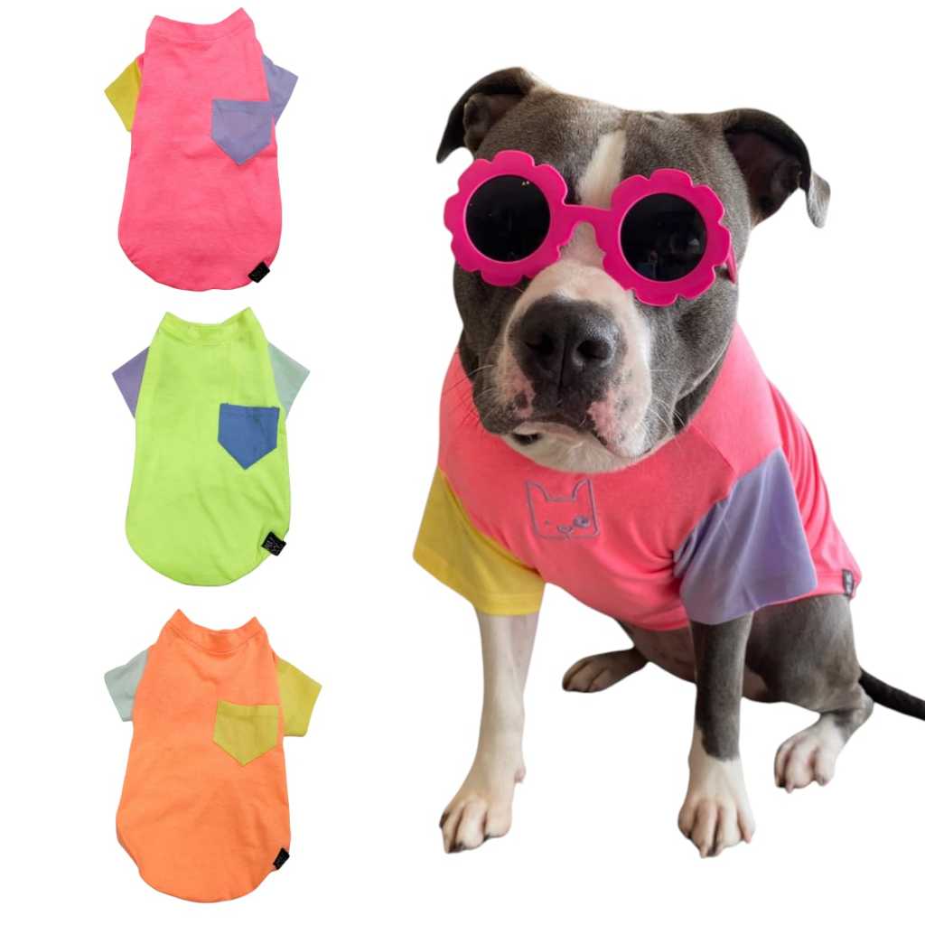 Camiseta Roupinha diversas cores Cachorro Verao Best Dog P M Gg Xg
