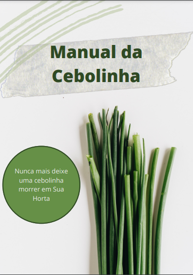 Manual da Cebolinha