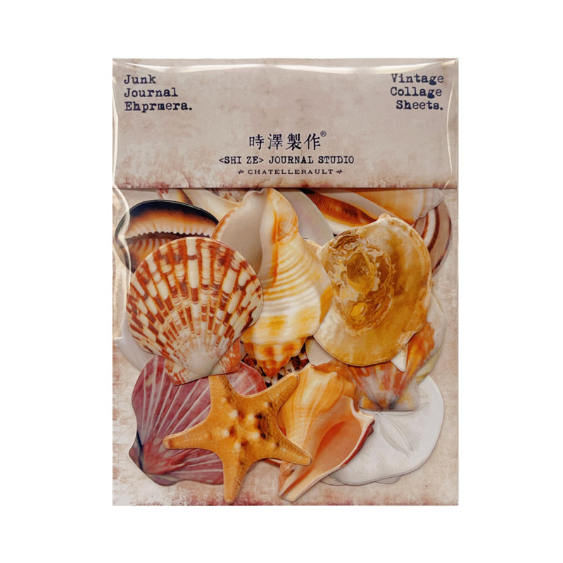 TimHoltz Estilo Concha Fresca Shell Cartão Grosso Arte All-Match Oceano Fundo Manual Decoração Material de Colagem