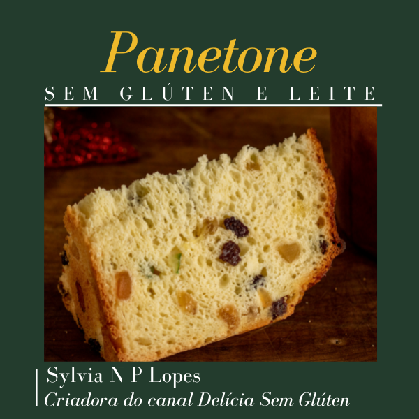 Aprenda a Fazer um Panetone e um Chocotone Sem Glúten e Sem Lactose