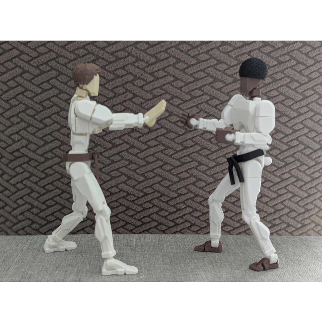Boneco Dummy 13 Lutador Karatê Judô Taekwondo Brinquedo Varias Poses - Impressão 3D